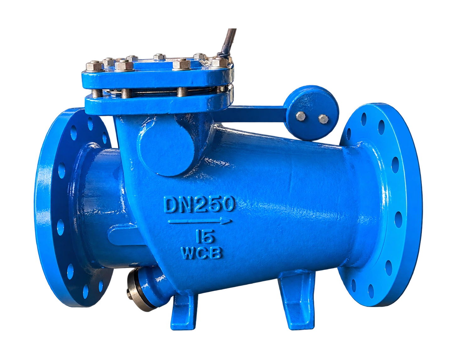 Boiler Type Check Valve with Hammer